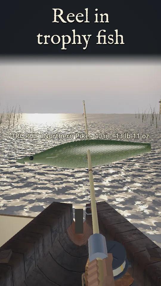 Reeling in a trophy pike